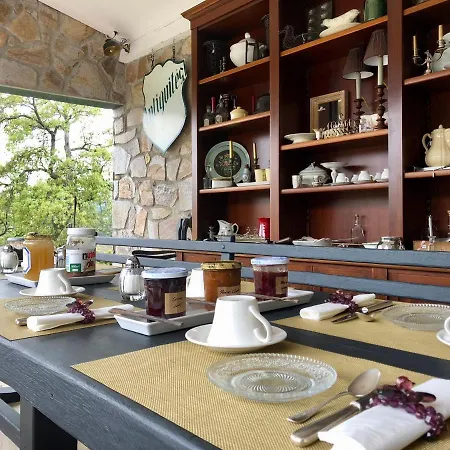 Bed & Breakfast Les Aurochs Grimaud